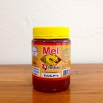 Mel Eucalipto 500g